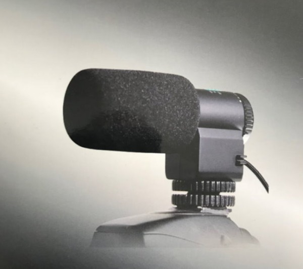 Microphone stéréo pour Sony FDR-AX45