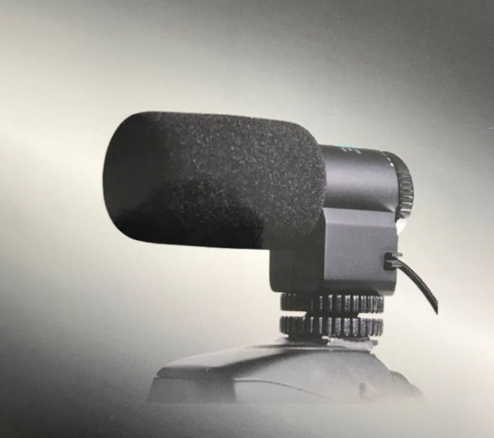 vhbw Microphone Externe stéréo Compatible avec Panasonic Lumix DMC-FZ300,  DMC-FZ1000, DMC-LX3,DMC-LX5
